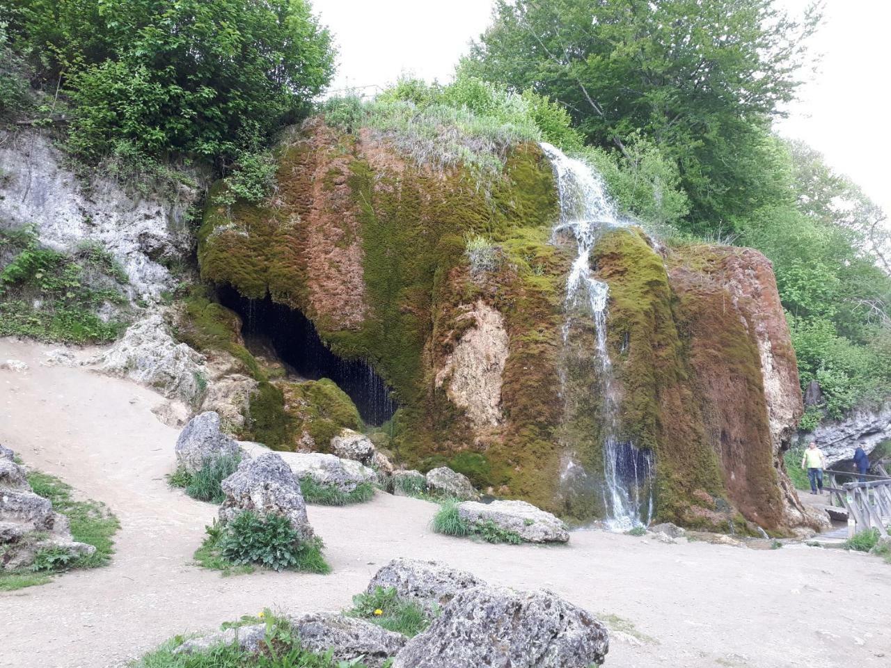 Herberg Die Alte Schleuse Manderscheid Exterior foto