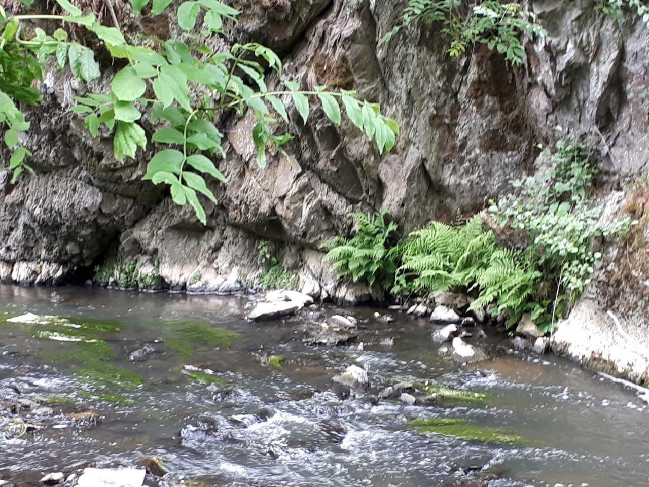 Herberg Die Alte Schleuse Manderscheid Exterior foto